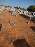 image of grave number 558366